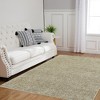 Solid Shaggy Rug Modern Indoor Carpet Fluffy Plush Rug Shag Area Rug Home Decor, 4'x6' Taupe - 3 of 4