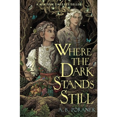 Where The Dark Stands Still - By A B Poranek (hardcover) : Target