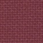 florida state seminoles