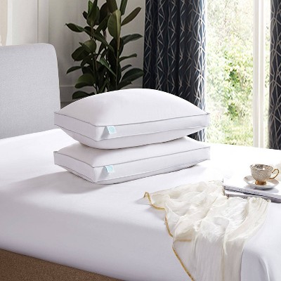 Down Bed Pillow White - Martha Stewart 