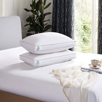 Standard 2pk Feather & Down Bed Pillow White - Martha Stewart