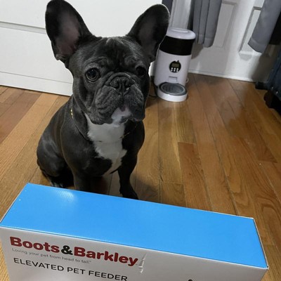 Modern Tall Metal Elevated Dog Bowl With Natural Wood Top - Black - Boots &  Barkley™ : Target