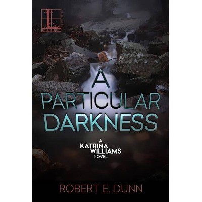 A Particular Darkness - by  Robert E Dunn (Paperback)