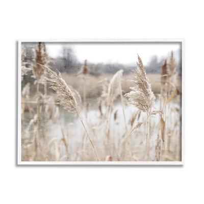Stupell Industries Rural Pampas Grass Reeds Lakeside Pond Marsh Framed Giclee Art
