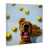 Stupell Industries Happy Smiling Pet Dog with Yellow Tennis Balls Canvas Art - 2 of 4