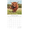 2026 Square Wall Calendar, Highland Cows, 16-Month Animals Theme with 180 Reminder Stickers (12x12 In) - 3 of 4