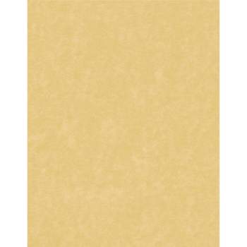 Gold Metallic #10 Envelopes - 20 Count [DP13021] : Designer Papers, decorative printer paper, Printable Paper