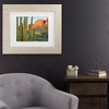 Trademark Fine Art - Alan Majchrowicz Organ Pipe Cactus National Monument Arizona Matted Framed Art - 2 of 4