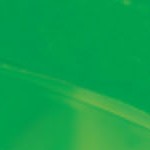 kelly green/silver bottom moonjelly
