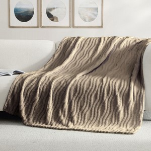 Swift Home | 50" x 70" Jacquard Patterned Plush Throw Blanket - 1 of 4