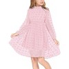 Arshiner Girls Dress Long Sleeve Swiss Dot Ruffle Collar Flowy A-Line Party Dress for Kids - 3 of 4