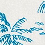 tropical white_blue