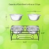 Elevated Dog and Cat Bowls - Decorative 6.5-Inch-Tall Raised Stand with 2 Stainless-Steel Food and Water Bowls - Hold 40oz Each by PETMAKER (Black) - 2 of 4