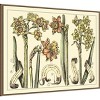 Amanti Art Narcissus in Bloom II by Mark W. Langlois Framed Canvas Wall Art - 3 of 4
