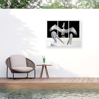 Trademark Fine Art - Huib Limberg say what a reach Matted Framed Art