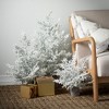 19"H, 23"H & 32"H Sullivans Artificial Frosted Juniper Tabletop Christmas Trees Set of 3, White, Indoor Christmas Decor - 3 of 3