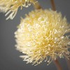 Sullivans Artificial Dried Allium Bud Stem 24.5"H Off-White - 2 of 2
