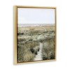 Stupell Industries Distant Shoreline Grassy Beach Path Cloudy Horizon Floating Frame Canvas Art - 2 of 4