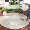 Beach House BHS174 Power Loomed Indoor/Outdoor Rugs - Safavieh - 2 of 4
