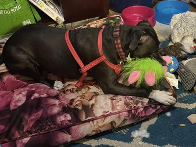 Guest review image 1 of 3, zoom in