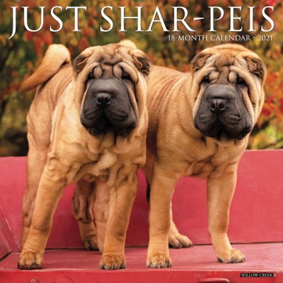 2021 Monthly Wall Calendar Just Shar Peis Willow Creek Press Target