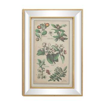 19.5" x 28.5" Large Vintage Style Plant Illustrations Textile in Mirror and Rectangular Frame Gold - Olivia & May