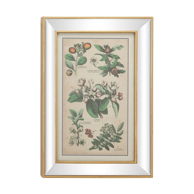 19.5&#34; x 28.5&#34; Large Vintage Style Plant Illustrations Textile in Mirror and Rectangular Frame Gold - Olivia &#38; May, 1 of 4