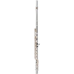 Allora AFL-250 Student Series Flute Offset G C-Foot - 1 of 4