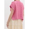 Women's Ribbon Short Sleeve Sweater - entro - 4 of 4