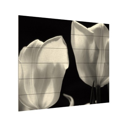 Trademark Fine Art -Martha Guerra 'Tulips' Wood Slat Art