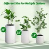 Round Planters Set of 2 with a Water Level Monitor, Self Watering Pots for Indoor and Outdoor Plants, Flower Pots for Living Room Black - 4 of 4