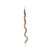Prevue Pet Products Wacky Wood 24 inch Vertical Bird Perch 62396 - 3 of 4