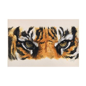 Trademark Fine Art -Barbara Keith 'Eye Catching Tiger' Canvas Art - 1 of 4