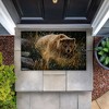 Stupell Industries Crossing Paths Brown Bear Printed Outdoor Door Mat, design by Collin Bogle, 18"x30" - 4 of 4