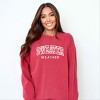 Simply Sage Market Embroidered Sweater Weather Garment Dyed Sweatshirt - 2 of 4