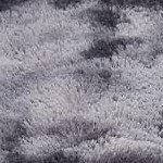 tie-dye dark grey