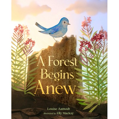A Forest Begins Anew - by  Louise Aamodt (Hardcover)