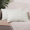 Unique Bargains Shaggy Plush Faux Fur Throw Patterned Pillow Covers 2 Pcs - 2 of 4