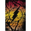 Trends International DC Comics - The Flash - Logo Unframed Wall Poster Prints - 4 of 4