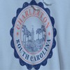 Social Collective Men's Charleston  Americana 4Th Of July Long Sleeve Graphic Cotton Sweatshirt Hoodie - 2 of 4