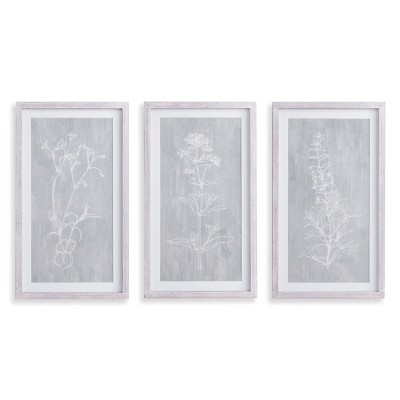 Plum & Post Sketched Botanical Prints, Set Of 3
