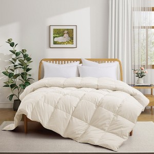 Puredown Luxurious 300TC 100% Organic Cotton Down Comforter - 1 of 4