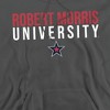 Campus Lab Robert Morris University Official Stacked Adult Pull-Over Hoodie - 2 of 4