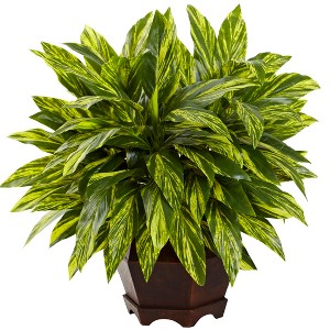 Nearly Natural Tradescantia Artificial Plant with Black Hexagon Planter - 1 of 1