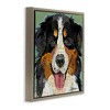 Stupell Industries Bernese Mountain Dog Collage Floating Frame Canvas Art - 2 of 4