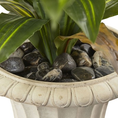 5.5' Green Plastic Dracaena Plant in Classic Urn