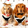 PoisePup – Luxury Pet Dog Bow Tie – Soft Premium Leather Bowtie for Small and Large Dogs - Dark Night - 3 of 3