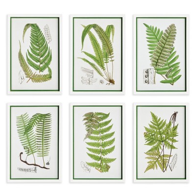 Plum & Post Layered Fern Prints, Set Of 6