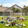Large Metal Chicken Coop, Chicken Coop Run, Outdoor Chicken Pen with Waterproof & Anti-UV Cover, Large Chicken Coop or Outdoor Farm Yard - 3 of 4