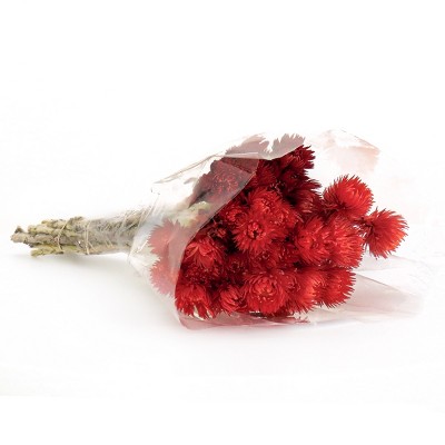 16" Artificial Dried Cape Blumen Bouquet Red - National Tree Company
